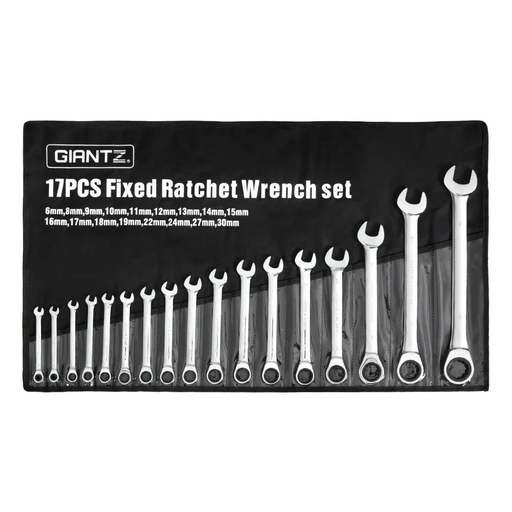 17pcs Ratchet Spanner Set | Metric | 6MM-30MM