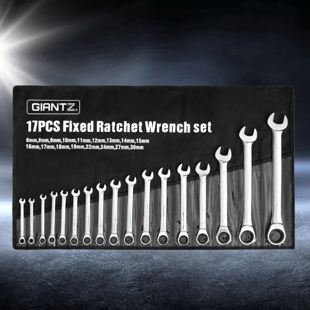 17pcs Ratchet Spanner Set | Metric | 6MM-30MM