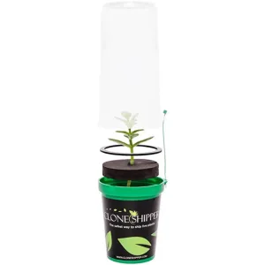 Clone Shipper Plant Packaging