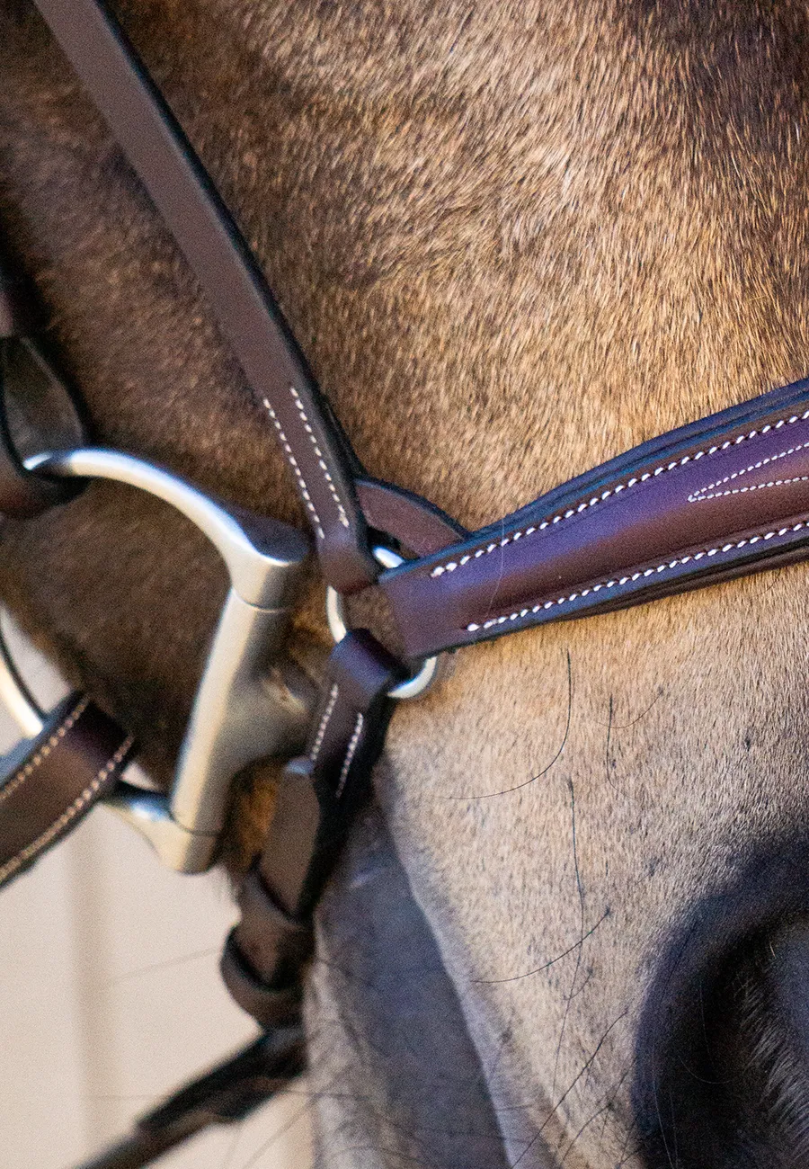 Drop Noseband