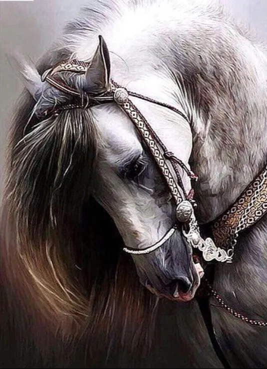 Full Square Diamond Painting - Bashful Horse