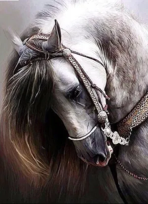 Full Square Diamond Painting - Bashful Horse