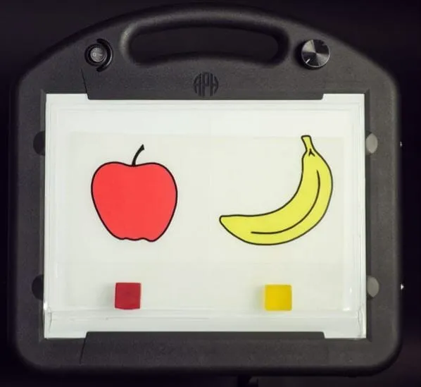 LED Mini-Lite Box