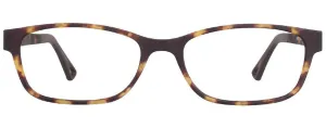VR-1 New Tort (Wholesale)