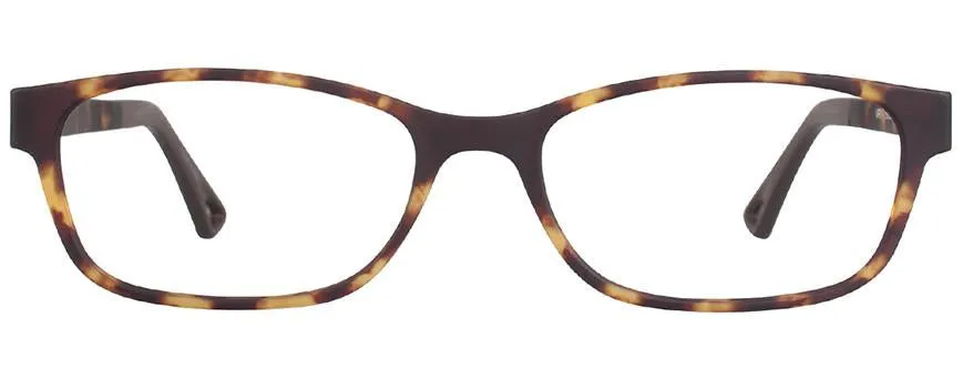 VR-1 New Tort (Wholesale)